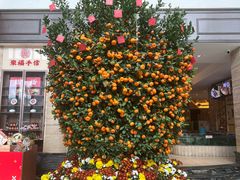 -聚福山莊·寻味顺德(北滘店)
