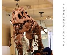 -美国自然历史博物馆