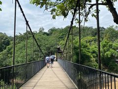 -凤栖山
