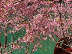 -楠溪江风景名胜区