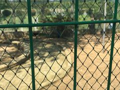 -武汉紫薇都市田园