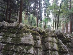 -梭布垭石林景区