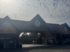 -上海海湾国家森林公园