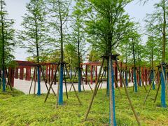 -春花秋色城市公园