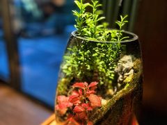 -王府茶楼茶宴·创意菜(朝阳公园店)