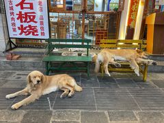 -八木轩·寻味大理白族民俗餐厅(文献路店)