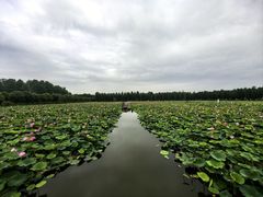 -渌洋湖湿地公园