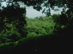-重庆平顶山公园