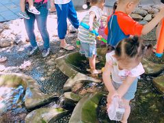 -成都市活水公园