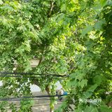 其实也没有什么太特别的技巧,重点是要放松,不要太摆拍