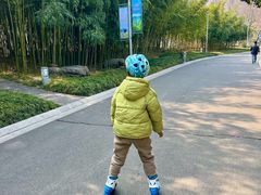 -青枫公园