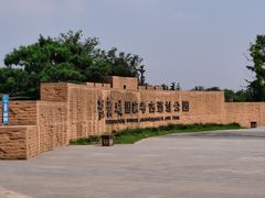 -盘龙城国家考古遗址公园