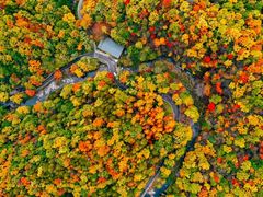 -洛阳白云山景区