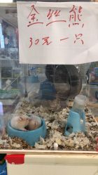 -汇乐童儿童主题乐园(李老社区商业中心店)
