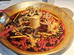 -小龙翻大江文化火锅(宽窄店)