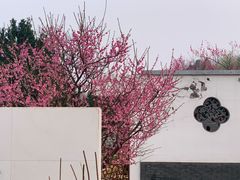 -国家植物园