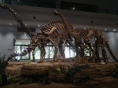 -自贡恐龙博物馆