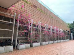 -香港大学