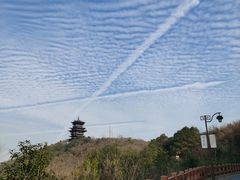 -杭州半山国家森林公园