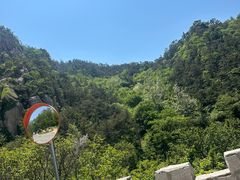 -北宅大永樱桃采摘基地(崂山总部)