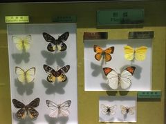 -上海昆虫博物馆