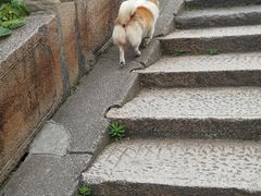 -乌镇东栅景区