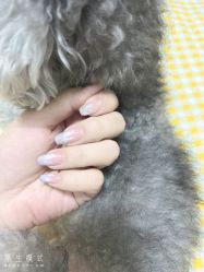 -甄爱美甲美睫