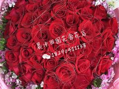-田园花舍花店(北城未来实体店)