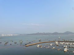 -希尔顿南海酒店·观廊大堂吧·海景下午茶
