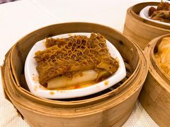 沙爹柱侯金钱肚-龙的酒楼·手工早茶·顺德菜(近良路店)