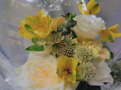 -花到家(富贵鸟花艺行)