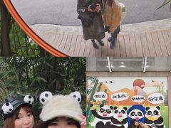 熊猫邮局的门口-成都大熊猫繁育研究基地