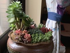 -双季花艺园艺市场(浦东店)