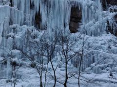 -陕西省红河谷森林公园
