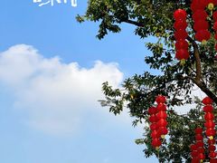 -荔湾湖公园