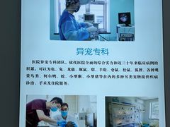 -北京观赏动物医院·24小时大型综合·猫专科·异宠专科