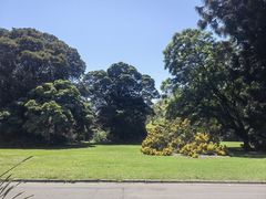 -墨尔本皇家植物园