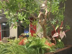 -峨嵋酒家(牡丹园店)