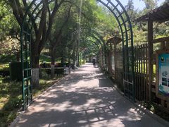 -黄村公园