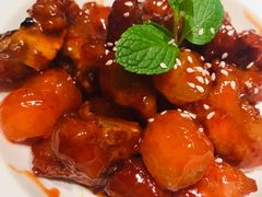 鹿桃话梅骨-大树餐厅(益田假日店)