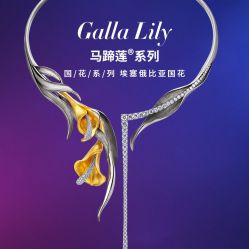 -爱丽丝珠宝(亚泰富苑店)