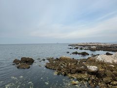 -养马岛旅游度假区