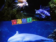 -南昌海洋公园