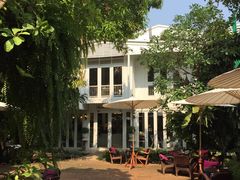 -Fern Forest Cafe