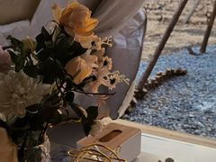 -安德鲁户外烧烤帐篷营地(马泉营店)