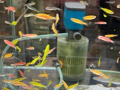 -鹏欣水游城