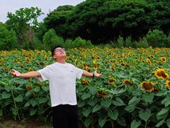 -上海杨姆庄园