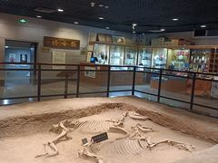 -洛阳周王城天子驾六博物馆