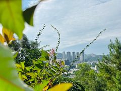 -白云山风景名胜区