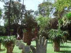 -南山植物园